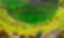Moray_edited.jpg