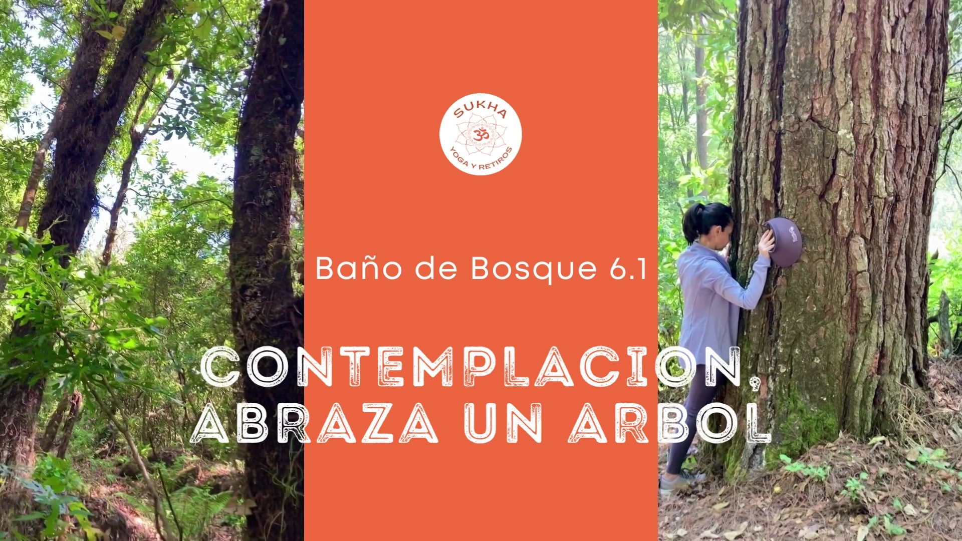 Caminatas Meditativas Baño de Bosque 2.0.2.2