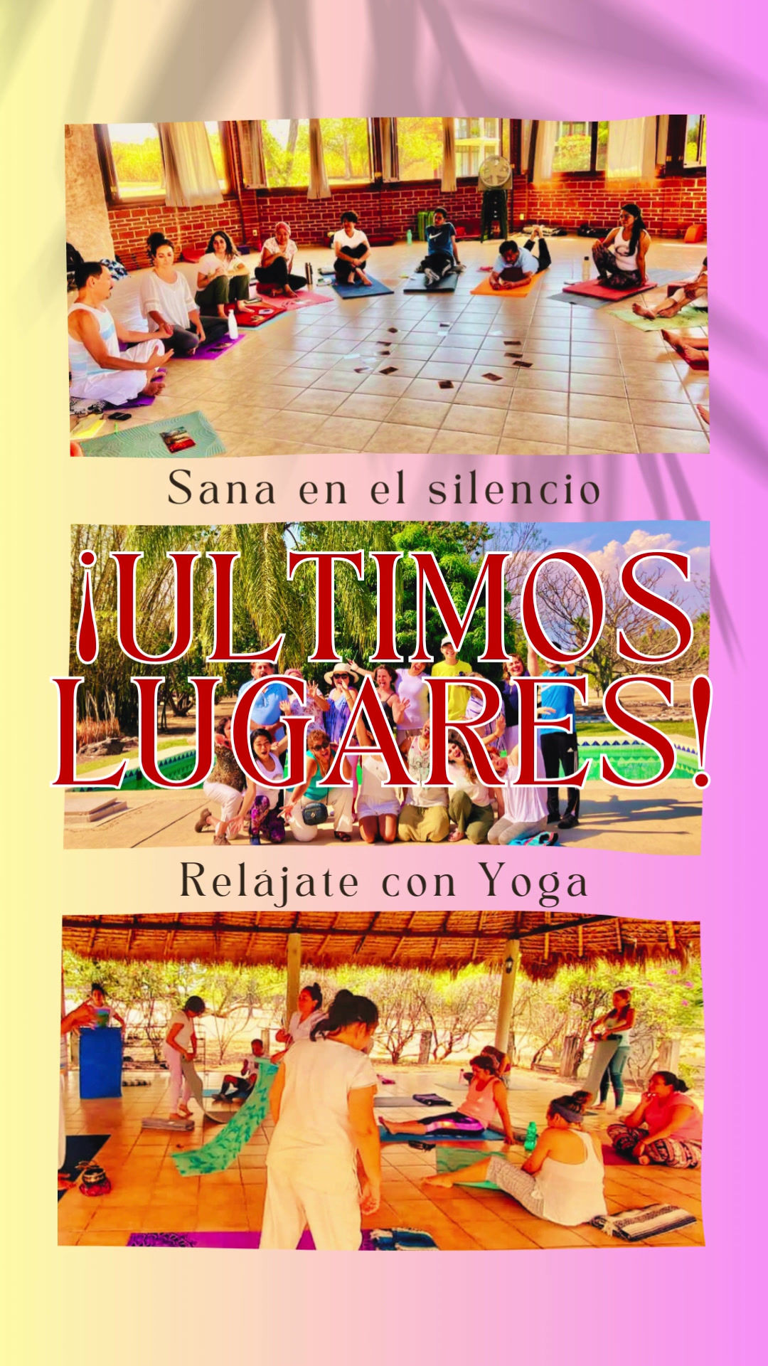 Retiro de Silencio y Yoga para principiantes