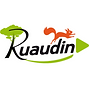 Banière de Ruaudin