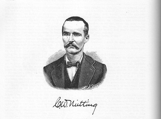 nutting-illustration.jpg