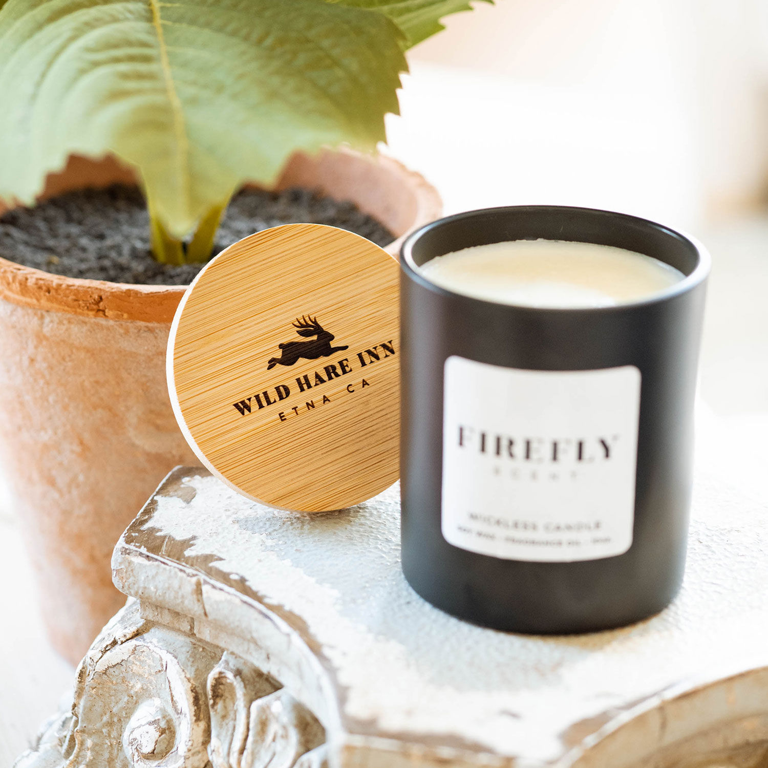 Firefly Scent Wickless Candle
