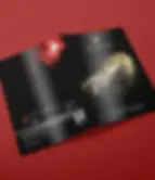 VipWay Branding by SPYNRC