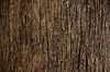 AdobeStock_468174761_edited.jpg