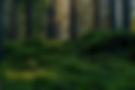 AdobeStock_380538385_edited.jpg
