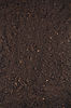 AdobeStock_137548934_edited.jpg
