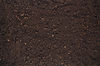 AdobeStock_137548934.jpeg