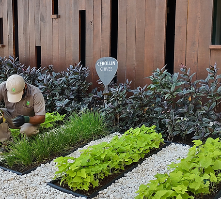 WhatsApp Image 2025-06-04 at 10.22.26 AM.jpeg