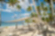 Mantenimiento HOTEL CASA HEMINGWAY | Green Garden Corp.
