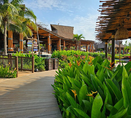 WhatsApp Image 2025-06-04 at 10.22.26 AM.jpeg