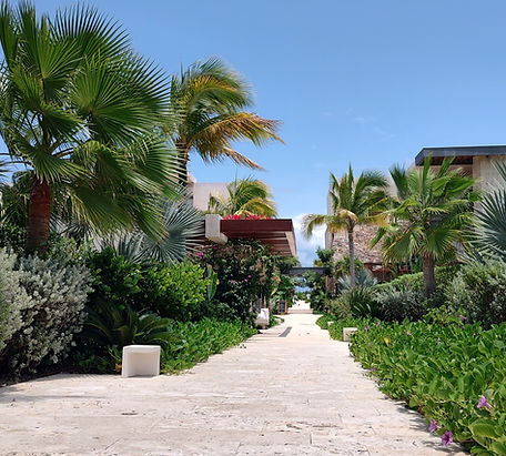 WhatsApp Image 2025-06-04 at 10.22.26 AM.jpeg