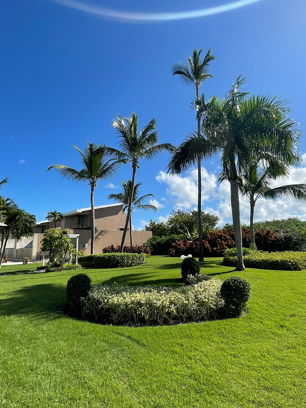 Catalonia Royal La Romana jardin vertical.jpeg