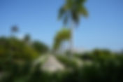 Mantenimiento ISLA GRANDE CAP CANA | Green Garden Corp.