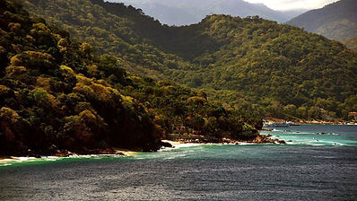 FLORA DE LA BAHÍA DE BANDERAS