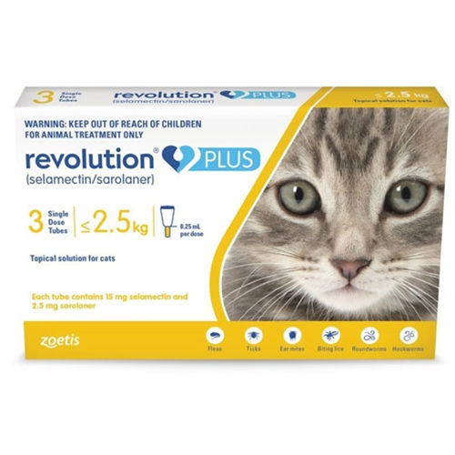 REVOLUTION PLUS