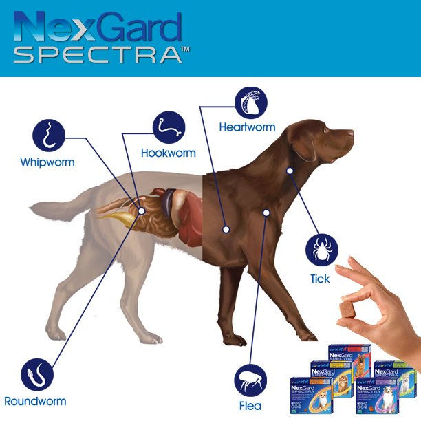 NEXGARD SPECTRA