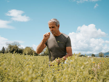 Au cœur du savoir-faire local : mon reportage photo entreprise et vidéo corporate pour Les Aromates de Provence