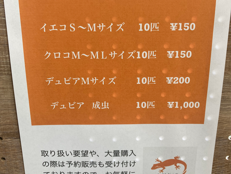 勉強会計画中…