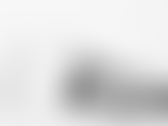 THE SENIOR TIMES NOVEMBER 2025