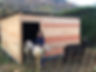 thumbnail_IMG_2715.jpg