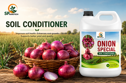 onion special