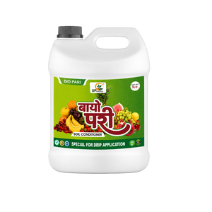 Our Wide Range of Varieties