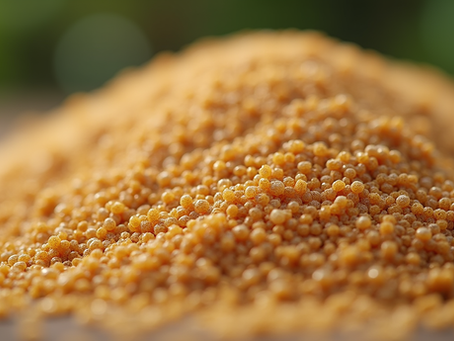 Boost Your Crop Nutrition with SP Agrotech Products