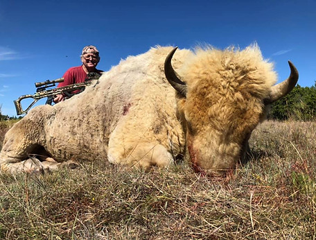 buffalo.jpg