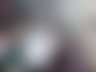 RIESGO GRAVE, IDEALIZAR LA FIGURA PRESIDENCIAL