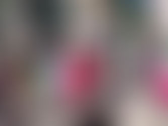 ¡Viva México! Hermoso Festejo de la Independencia en la Ciudad de Nueva York