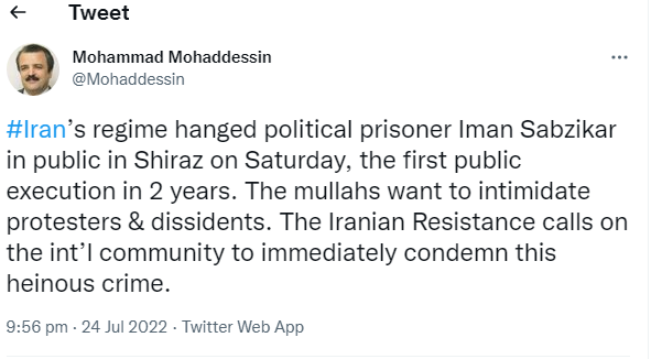 Mohammad Mohaddessin