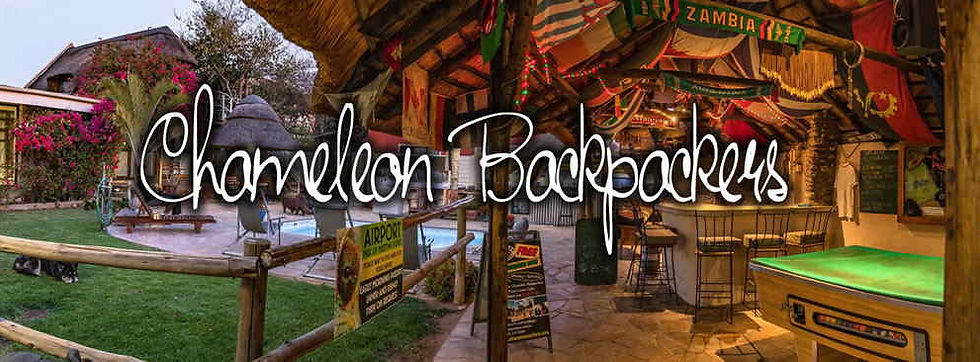 Chameleon Backpackers