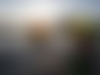 A Flock of Quackpackers!