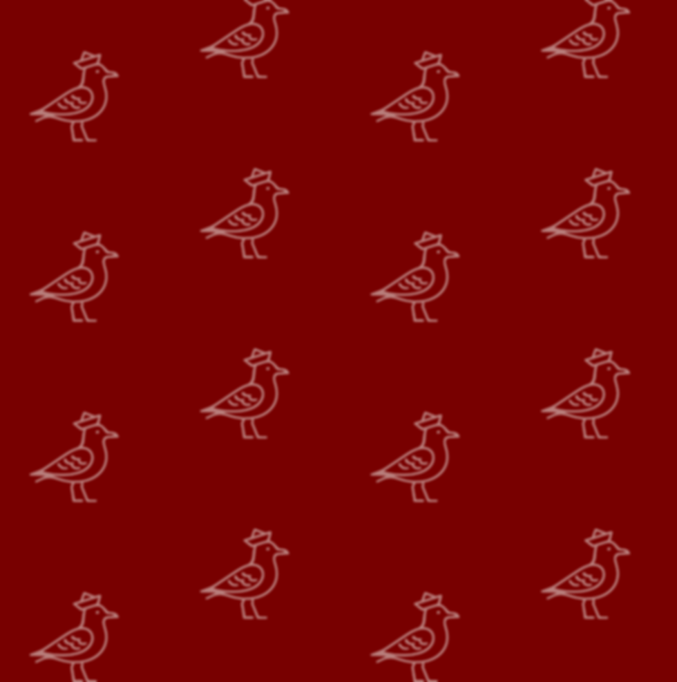 6.png