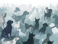 Unser Buch -Jetzt Downloden