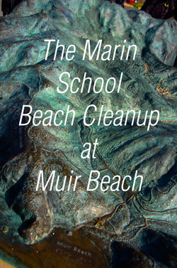 CC Day of Service 2016 Coastal Cleanup with Surfrider Foundation (1).jpg