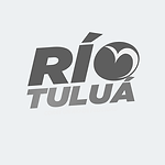 Ejes de Servicio CLARITY (1080 x 894 px) (Post para Instagram (45)) (9).png