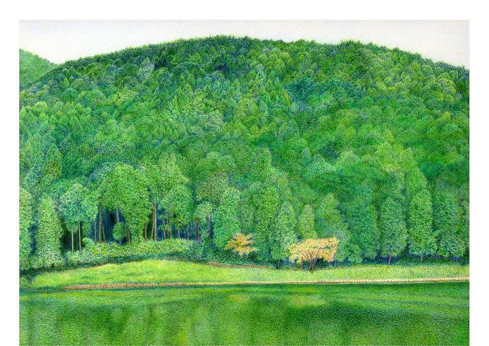 「静寂の富士田貫湖」（360×280mm）色鉛筆