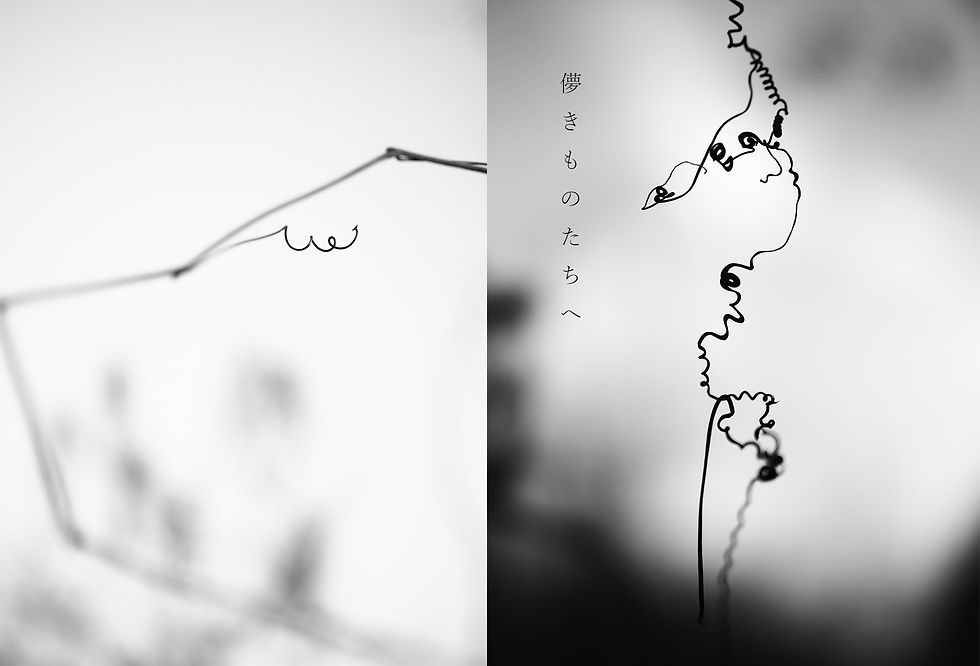 柴田徹之 写真展「儚きものたちへ」──消えゆく命に、静かな祈りを。11月13日(木)〜アートスペース1F