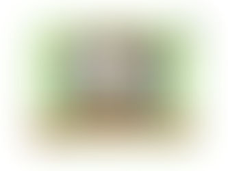 「THE ANIMALS 2026」出展アーティスト募集 🦒会期:9/3〜 9/13 国立での開催。動物をモチーフとした平面・立体作品を広く募集いたします。