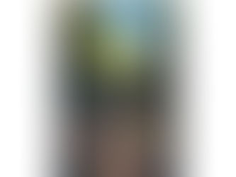 佐久間良一・写画展 <トトロの森にて> 5/18(木)より@2Fアートスペース