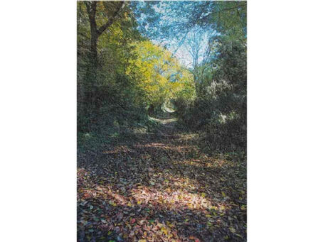 佐久間良一・写画展 <トトロの森にて> 5/18(木)より@2Fアートスペース