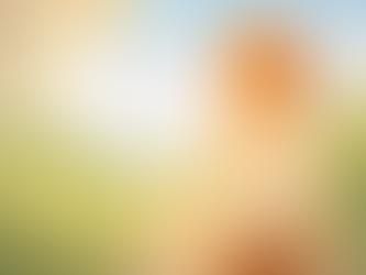 Daily Gratitude Practice: Finding Joy in the Small Moments