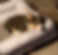 Screen Shot 2022-12-30 at 5.18.14 PM.png