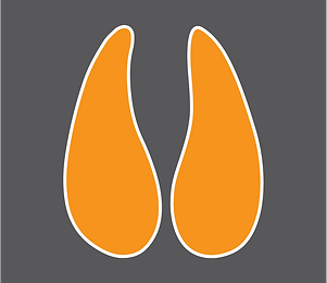 Hickory Hill Farm_2020-10.png