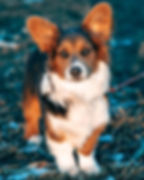 272247652_2771151149849222_618754142076416865_n