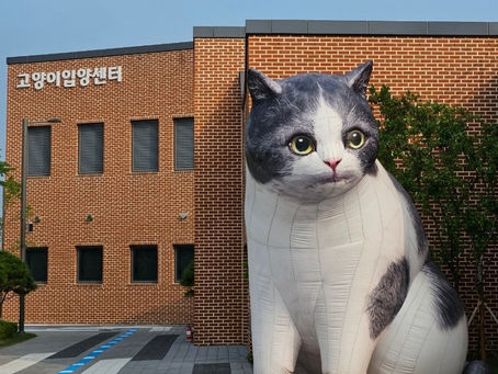                   🐾 화성 반려마루 방문