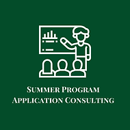 Summer Program Application Consulting