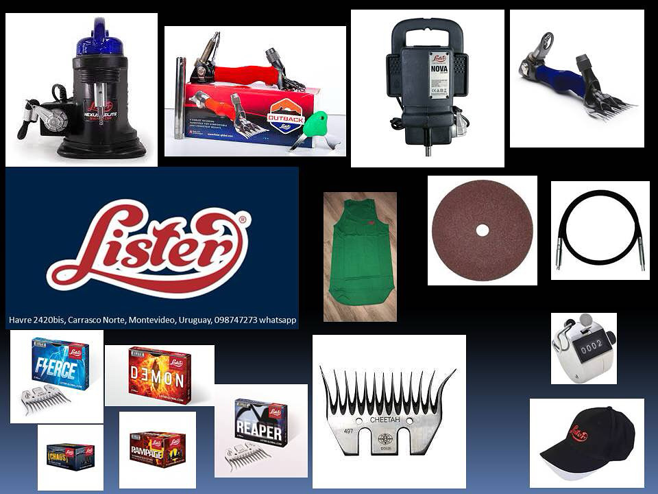 Foto del escritor: mundoanimaluy