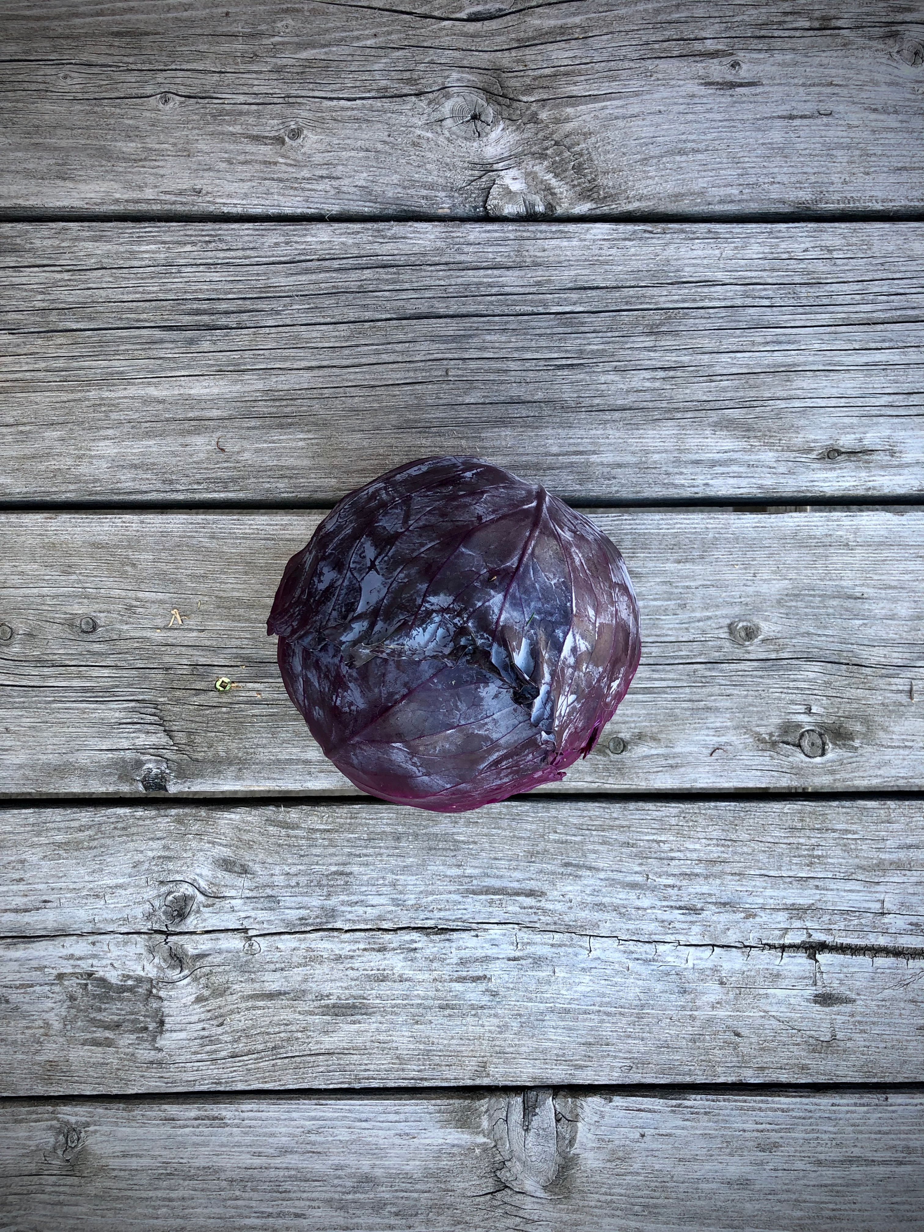 Red Cabbage